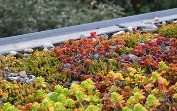 the cost of Upton Cheyney green roof installation